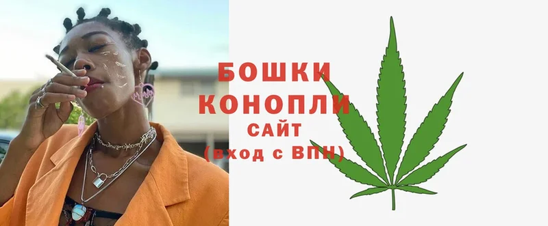 Шишки марихуана OG Kush  Галич 